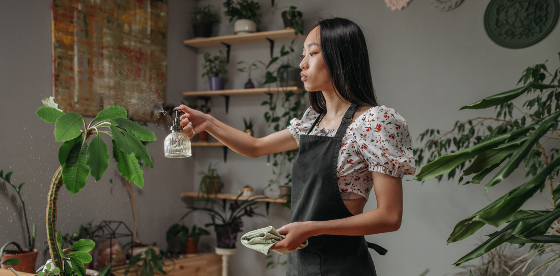 Taking care of indoor plants is rewarding