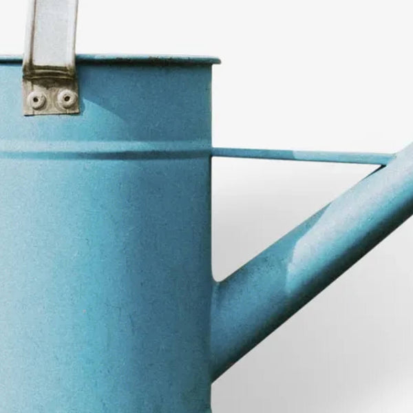 Mid-Century Watering Can