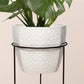 Minimal Plant Stand