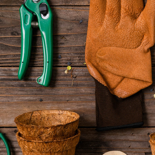 Poppy’s Heavy Duty Gardening Tools