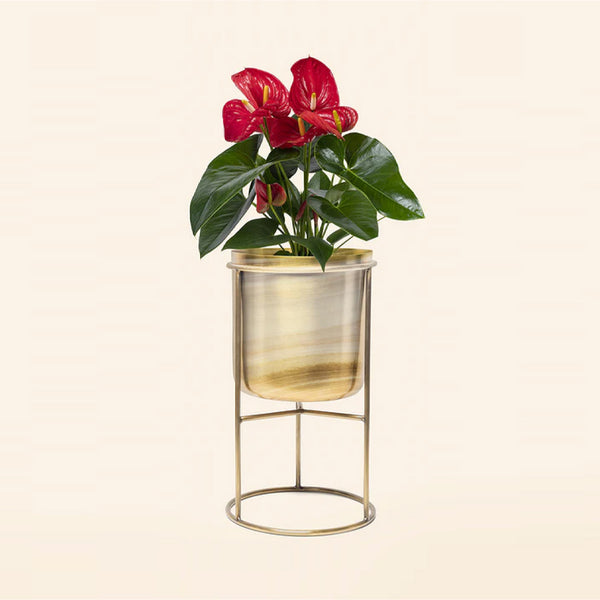 Classy Golden Plant Stand