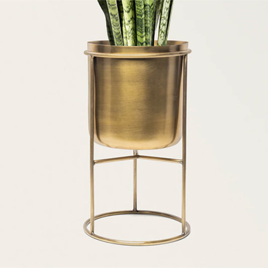 Classy Golden Plant Stand