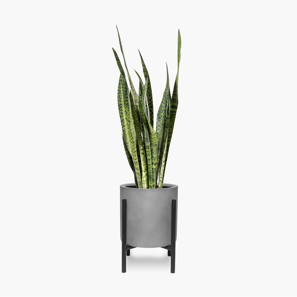 Geometric Plant Stand