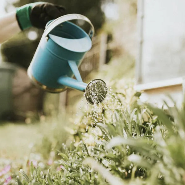 Mid-Century Watering Can