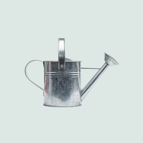 Mid-Century Watering Can