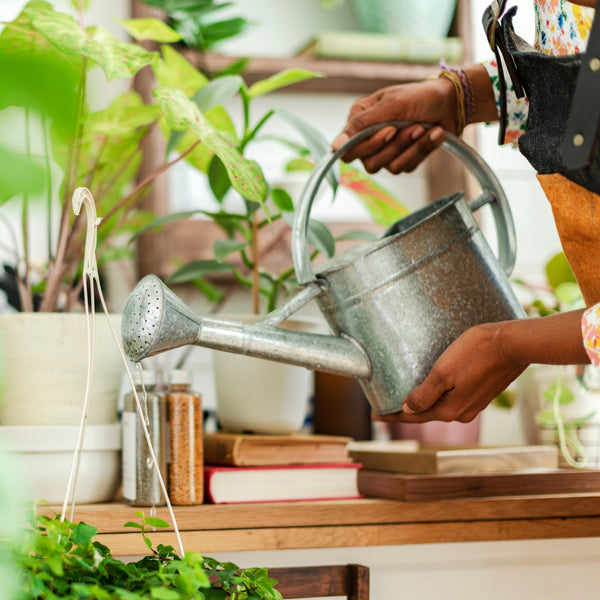 Mid-Century Watering Can