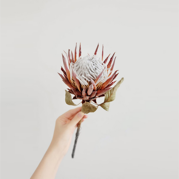 Milky Pink Dried Flower