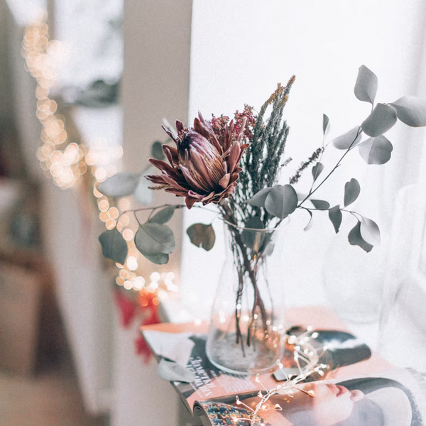 Milky Pink Dried Flower