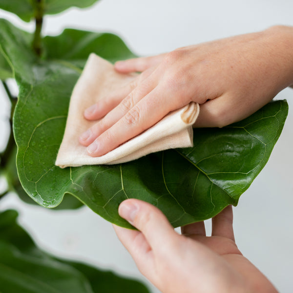 Poppy Microfiber Napkin