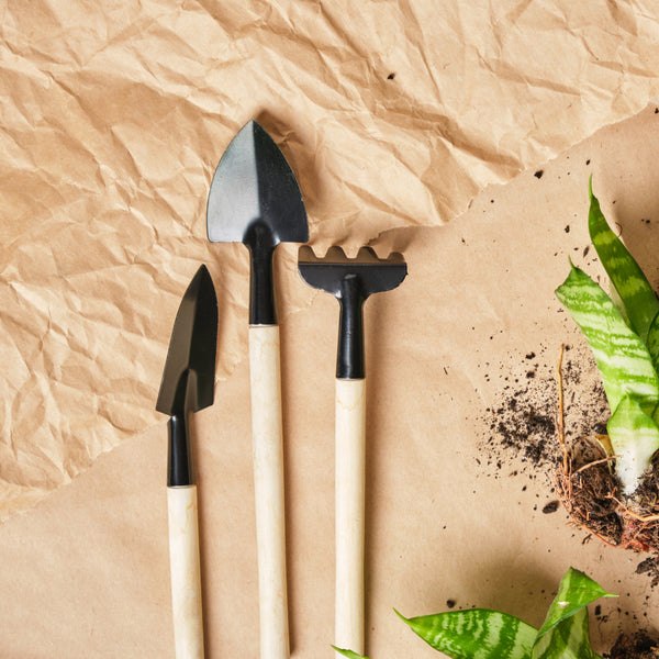 Poppy’s Heavy Duty Gardening Tools