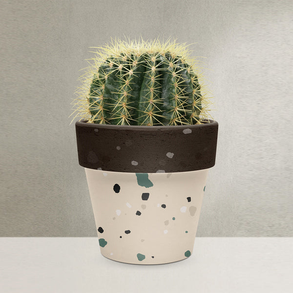 Terrazzo Pot